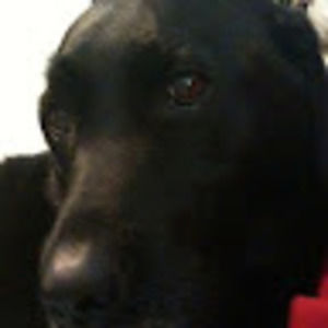 Meet your Posher, Carla